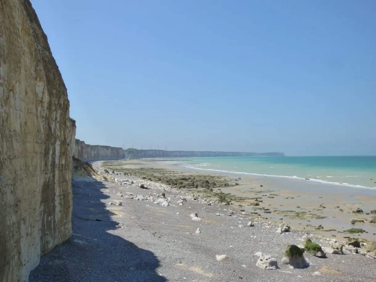 Chalk cliff dropping onto the stony foreshore at low tide