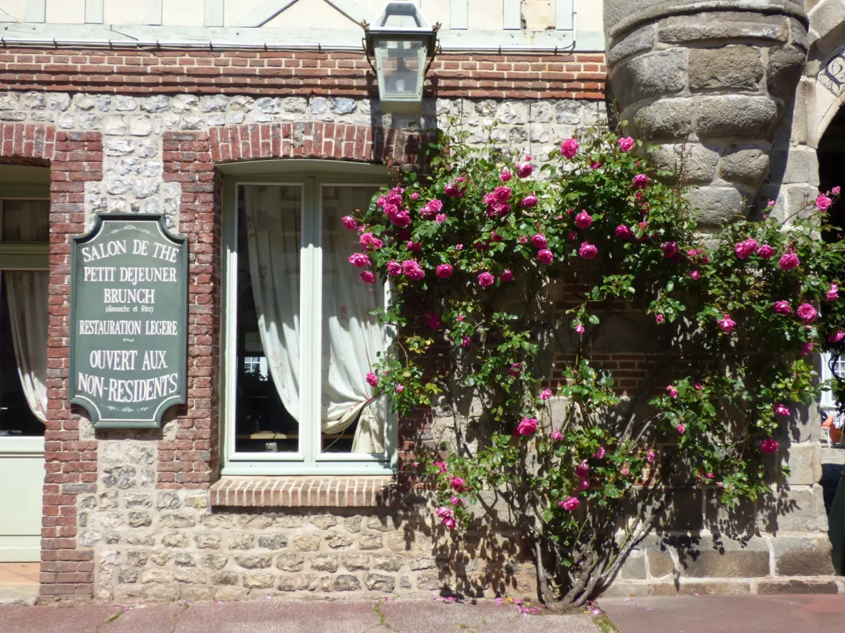 Tea room sign beneath red roses in bloom