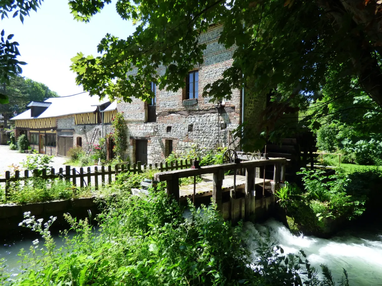 Old watermill and its millpond surrounded by greenery