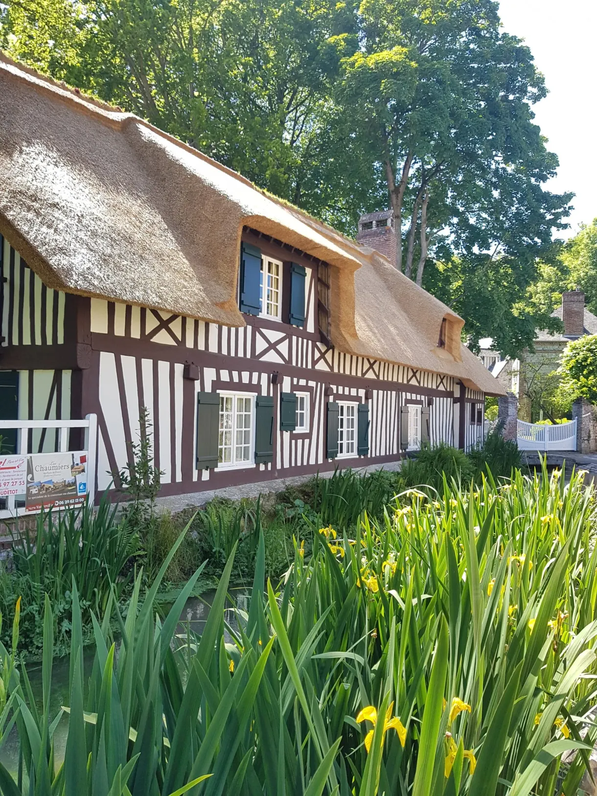 Half-timbered Norman cottage in front of a bed of yellow irises