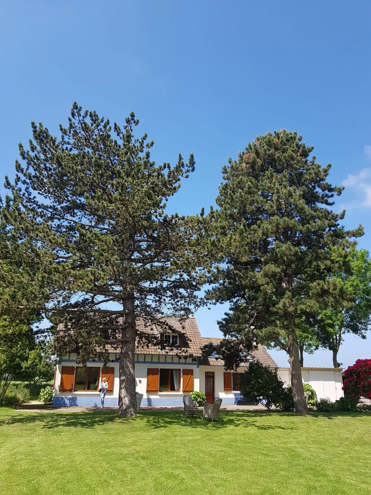 White longhouse and its lawn sheltered by tall pines