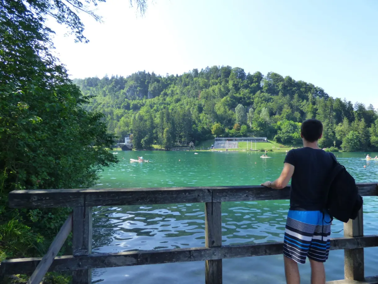 Leaning on a wooden fence facing the green lake
