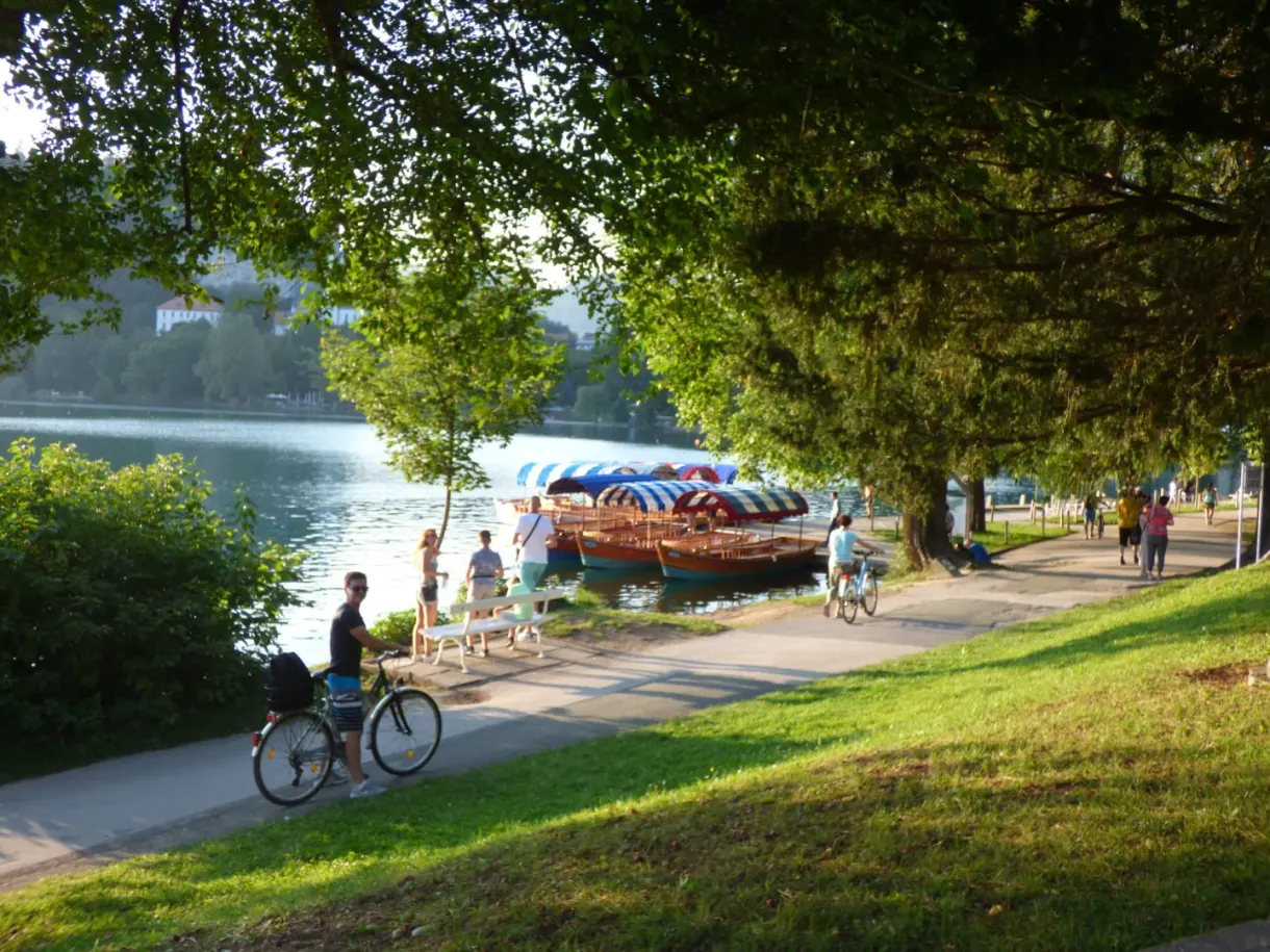 Shaded path around the lake, boats and cyclists