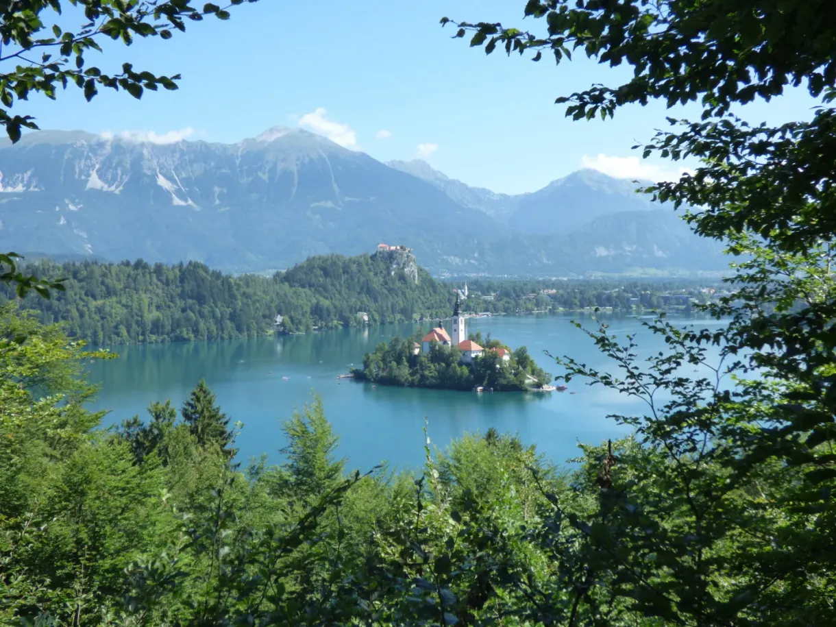 View over the lake framed by the foliage