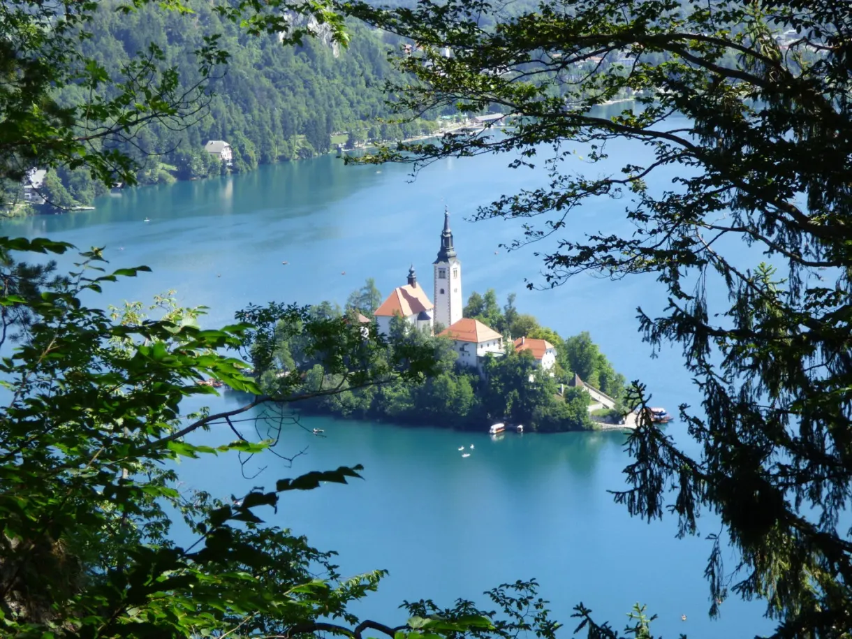 Bled island seen from above between the branches
