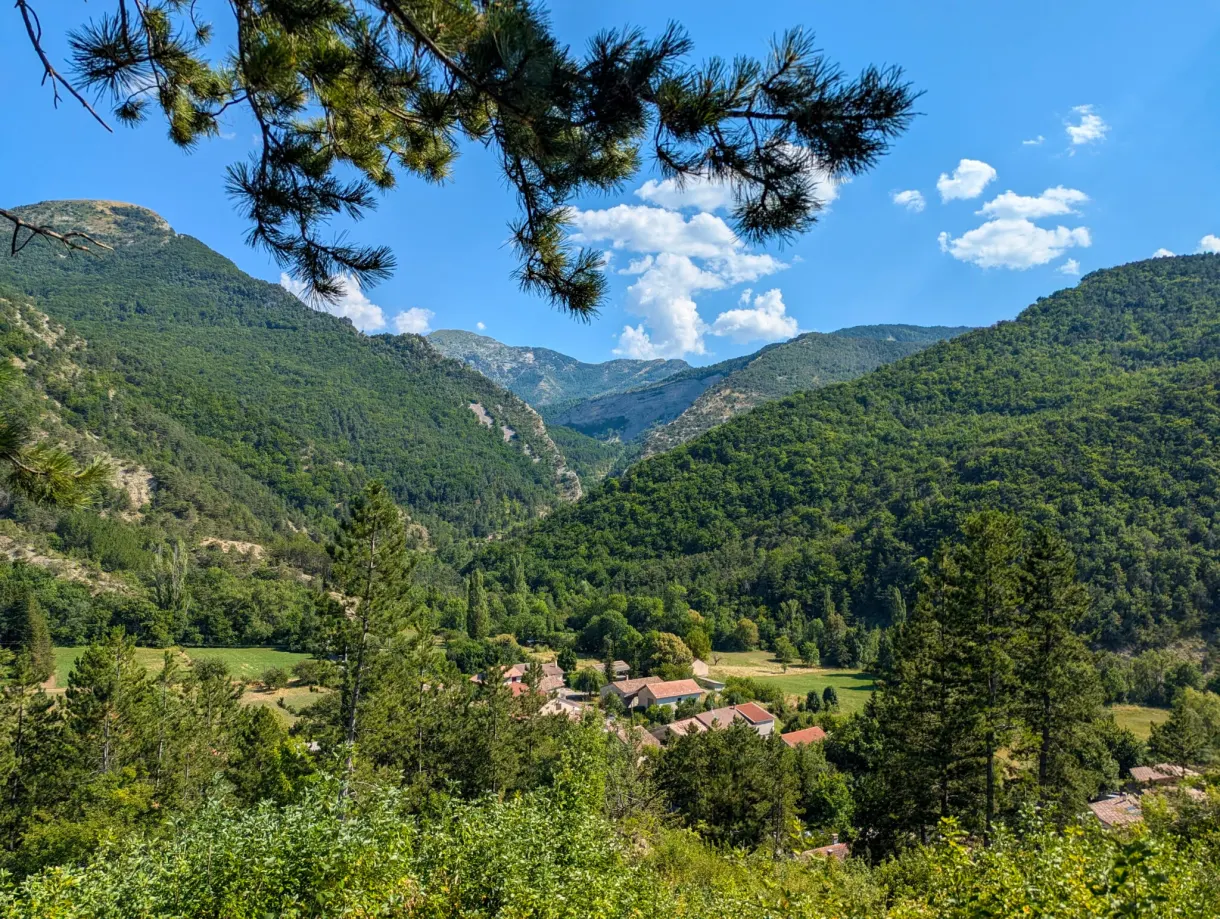 Green valley and peaks framed by pine branches