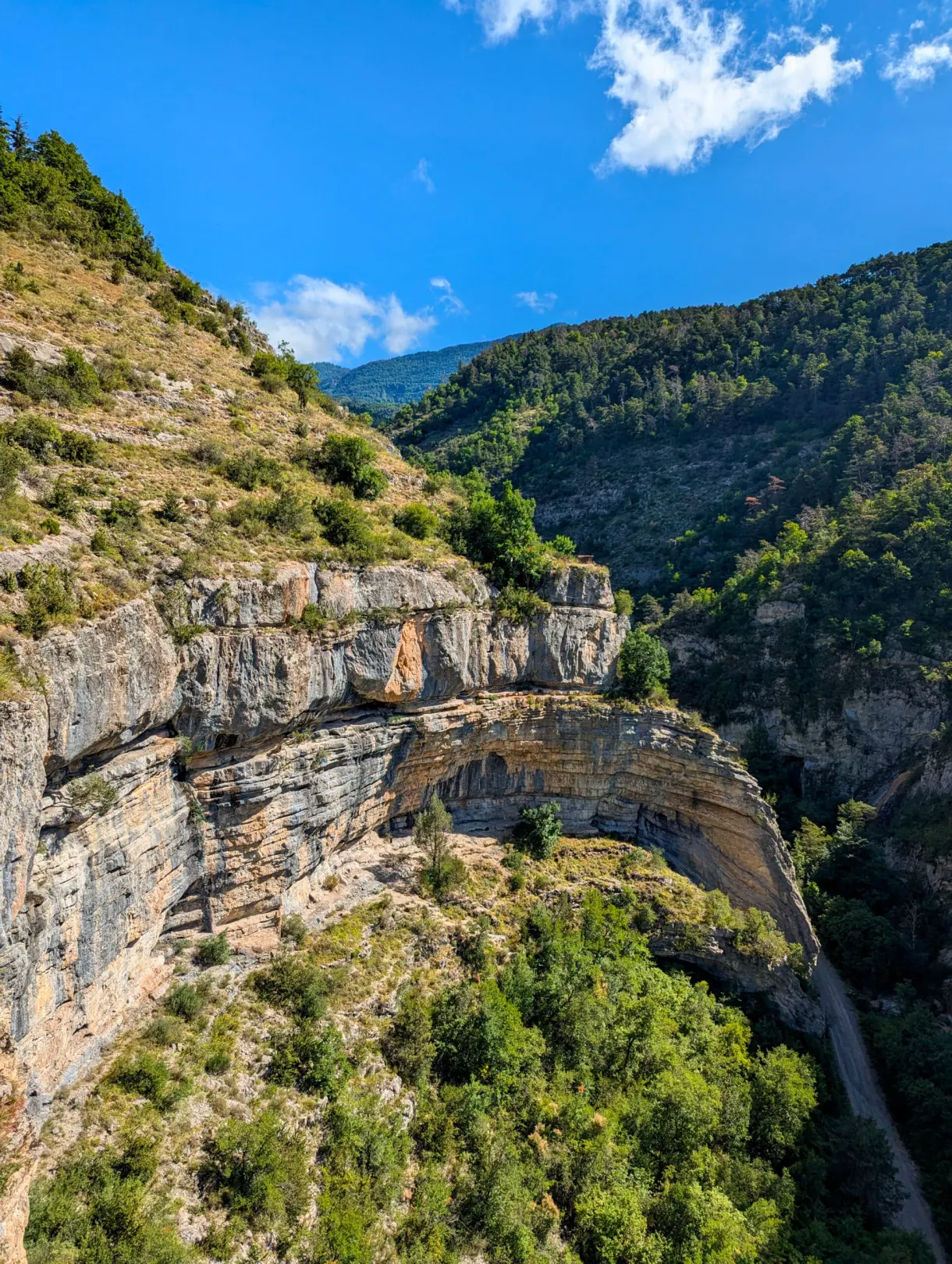 Narrow gorge between limestone cliffs and wooded slopes