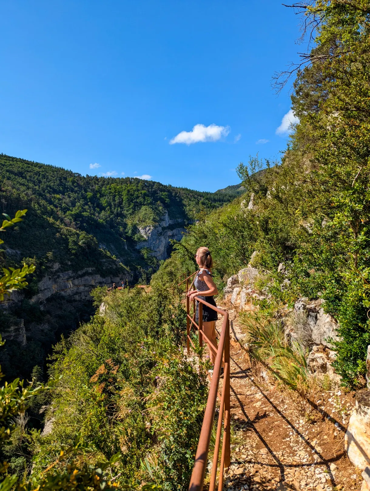 Railed footbridge overhanging the wooded gorge