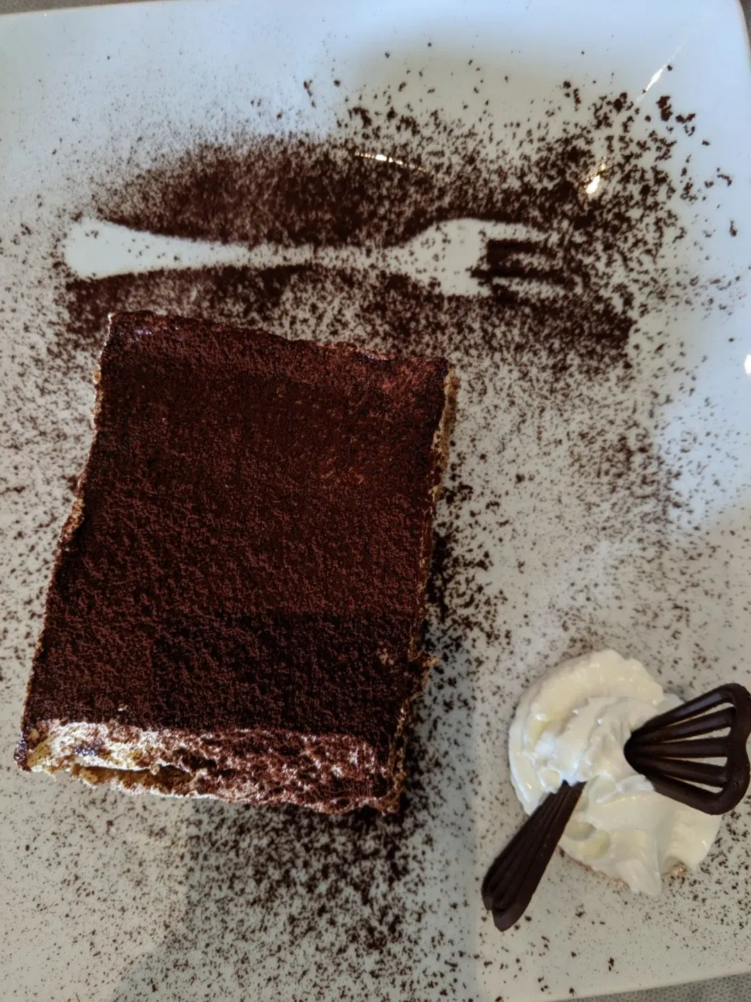 Tiramisu dusted with cocoa served on a large plate