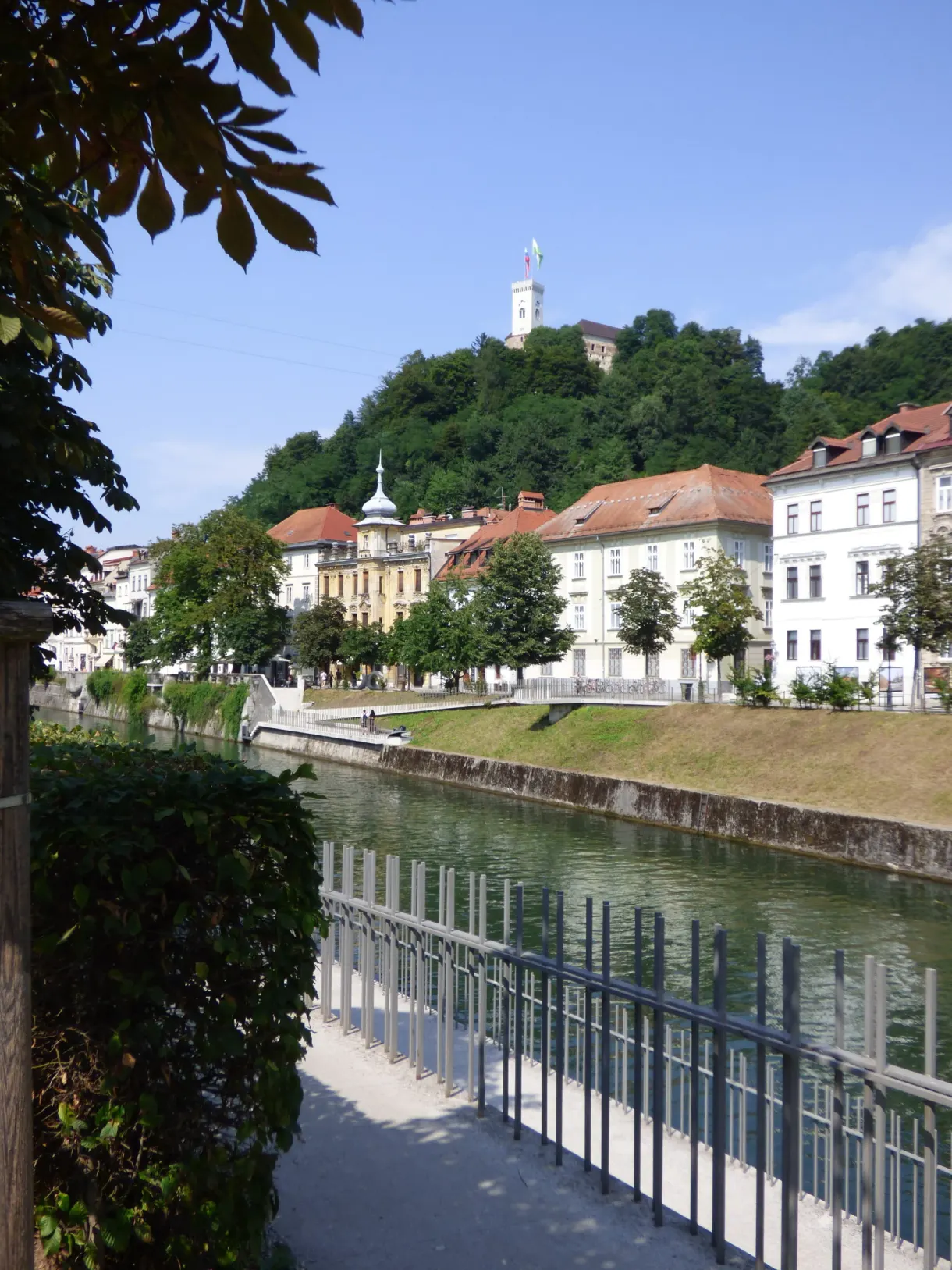 Quay railing under the branches, castle hill in the distance