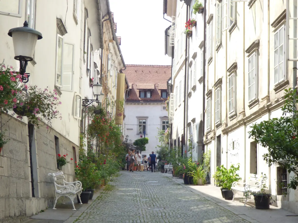 Sloping cobbled lane with a white bench and bougainvillea