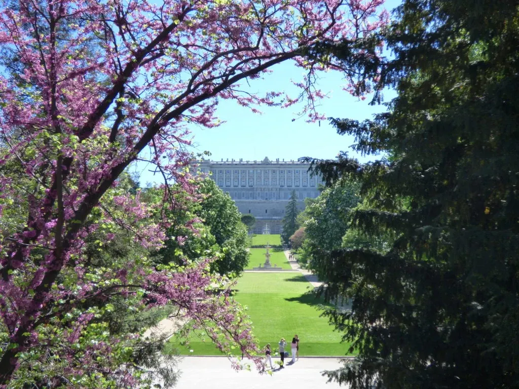 Tree in pink blossom and lawn walkway leading to the palace