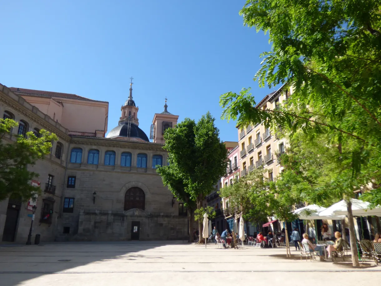 Shaded square in front of an old facade topped with a dome