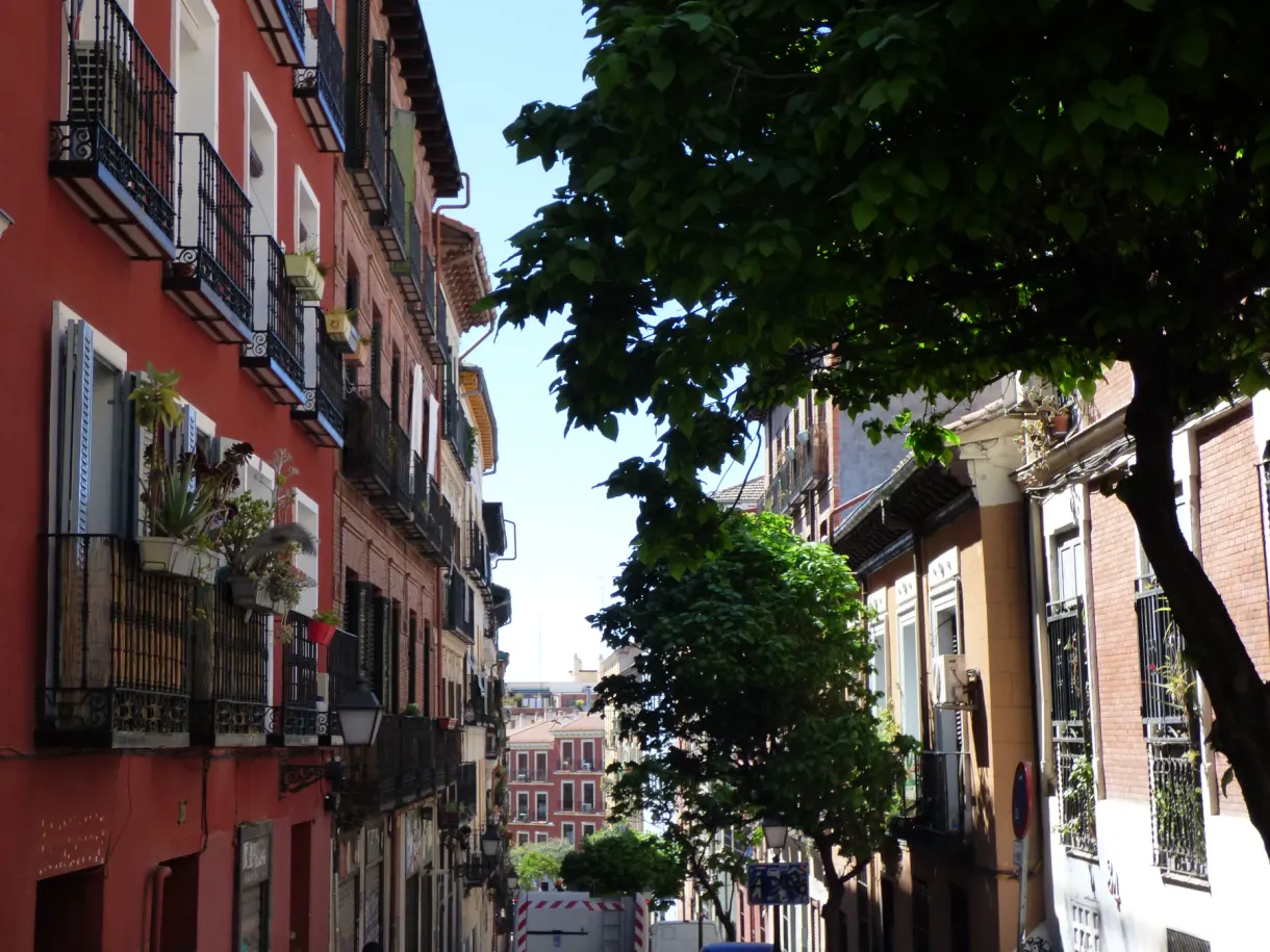 Green tree spilling over a street with red facades