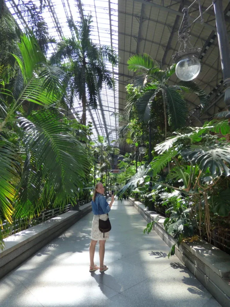 Tropical garden sheltered beneath a large glass roof