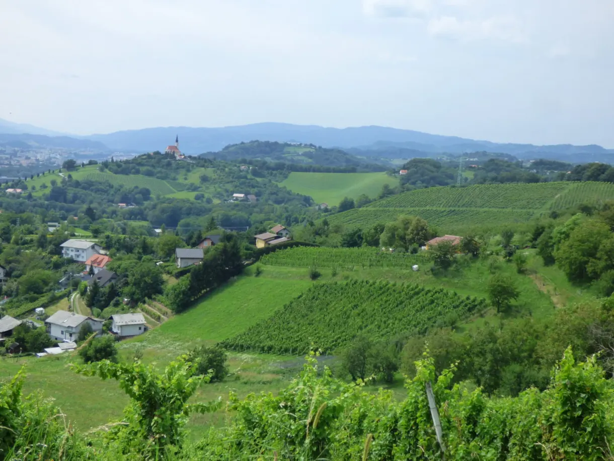 Sloping vineyards and villages scattered down below