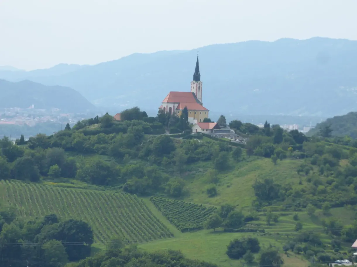 Church perched on a hill planted with vines