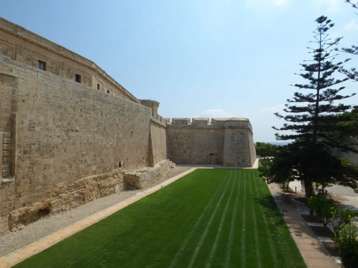 Haute muraille et grand pin dominant une pelouse rayée
