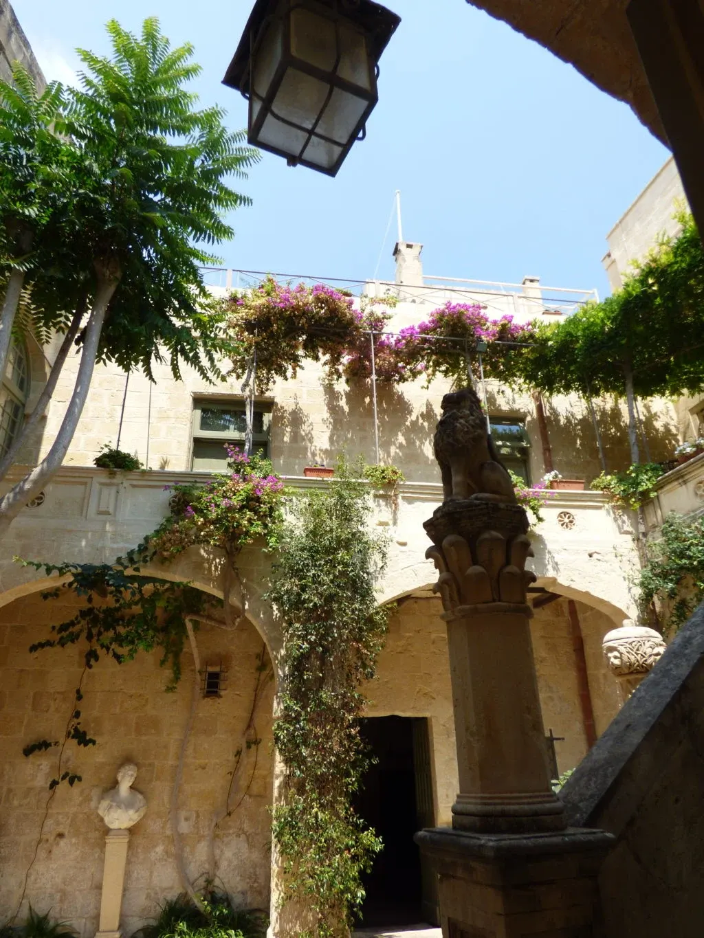 Cour fleurie de bougainvilliers aperçue sous une arche