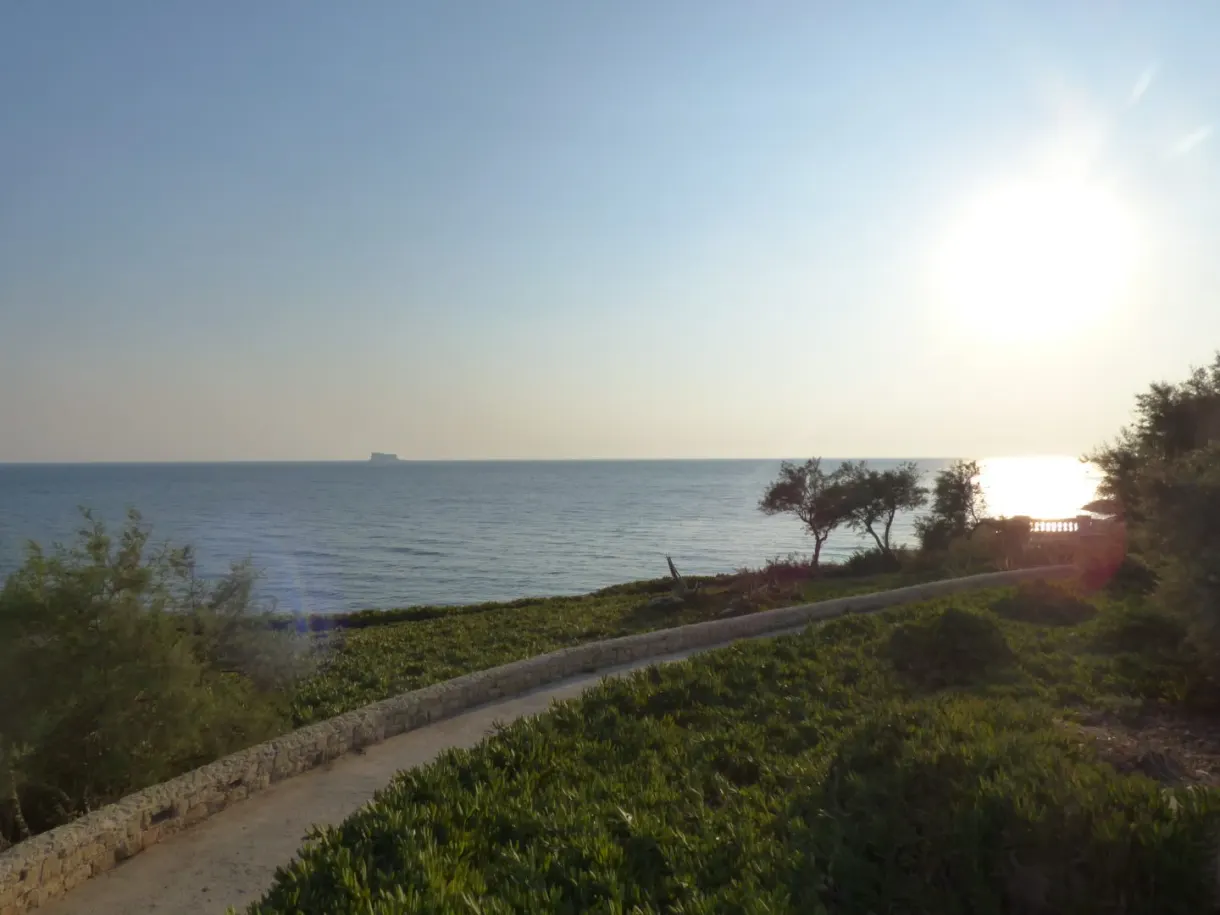 Soleil bas sur la mer derrière la végétation côtière