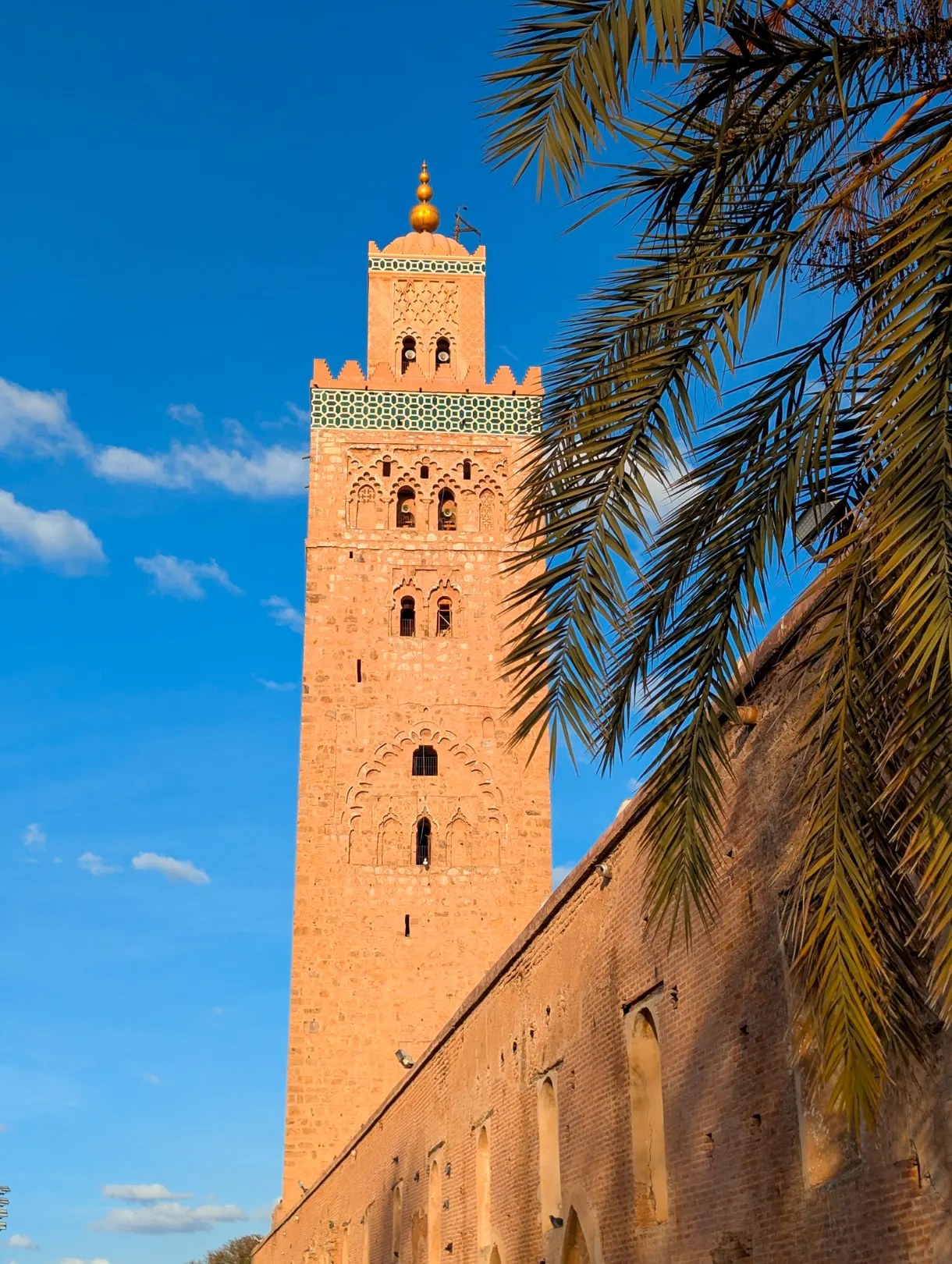 Blue sky and palm trees with the top of the Koutoubia mosque in the background