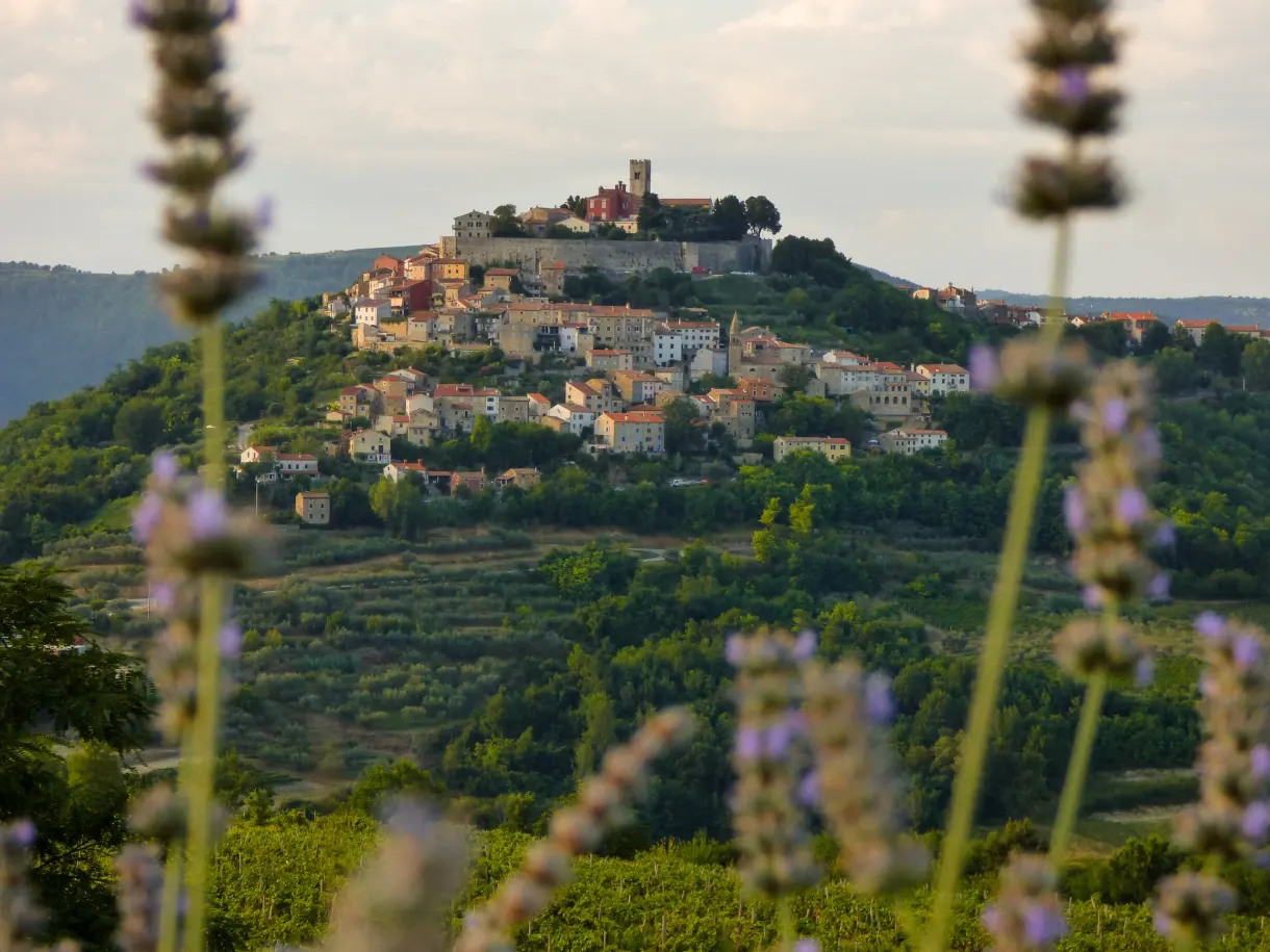 Istria banner over the hilltop village of Motovun above the vineyards
