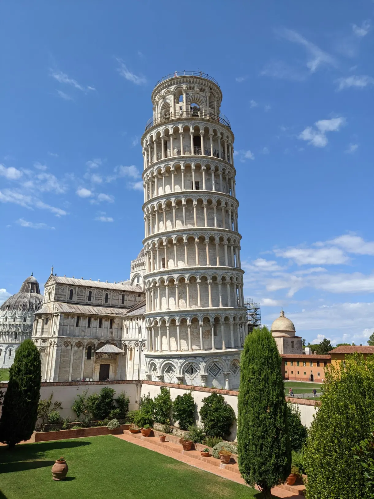 Leaning tower and cathedral behind a lawn planted with shrubs