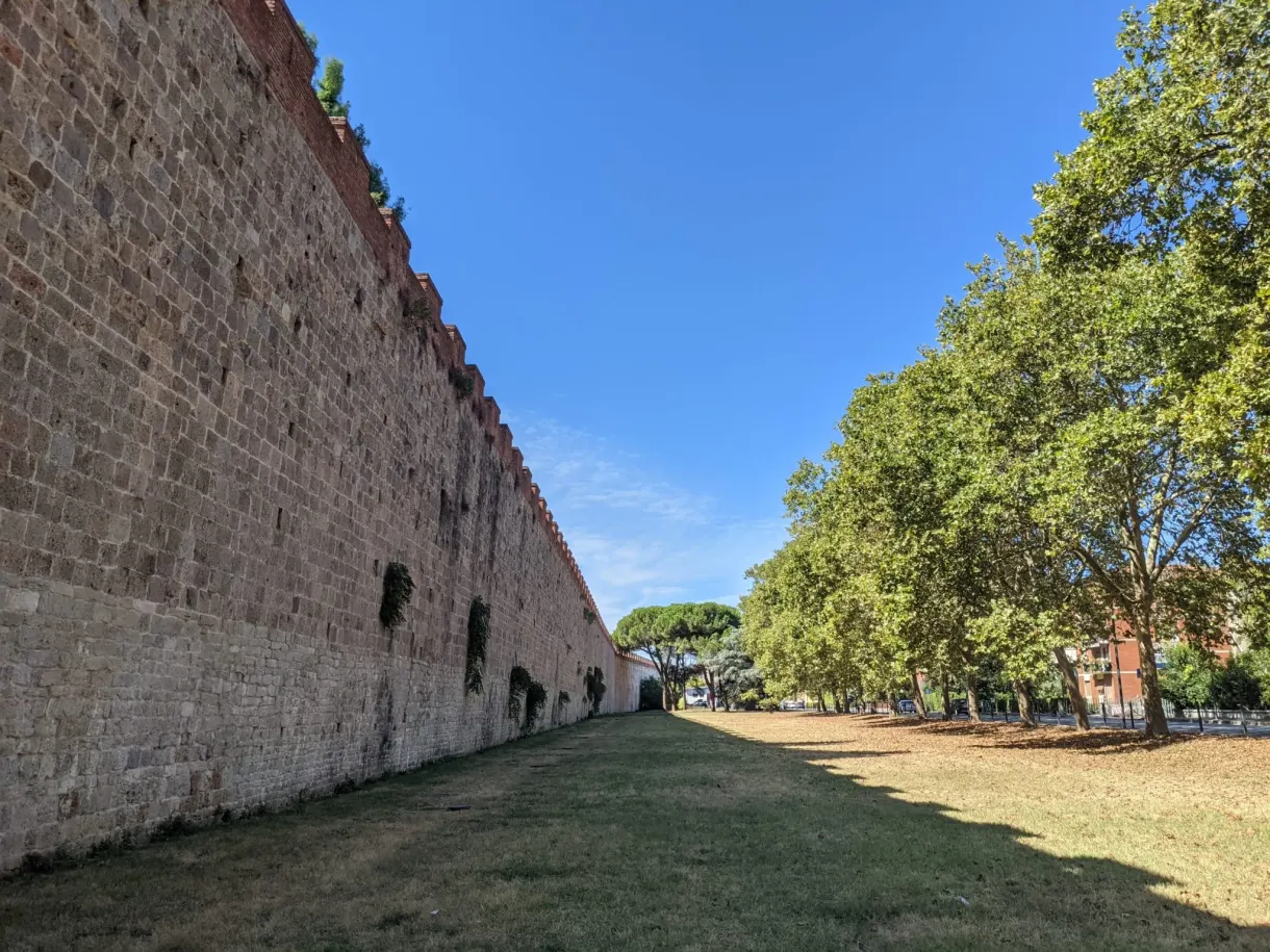 Long brick wall bordered by an avenue of trees and dry grass