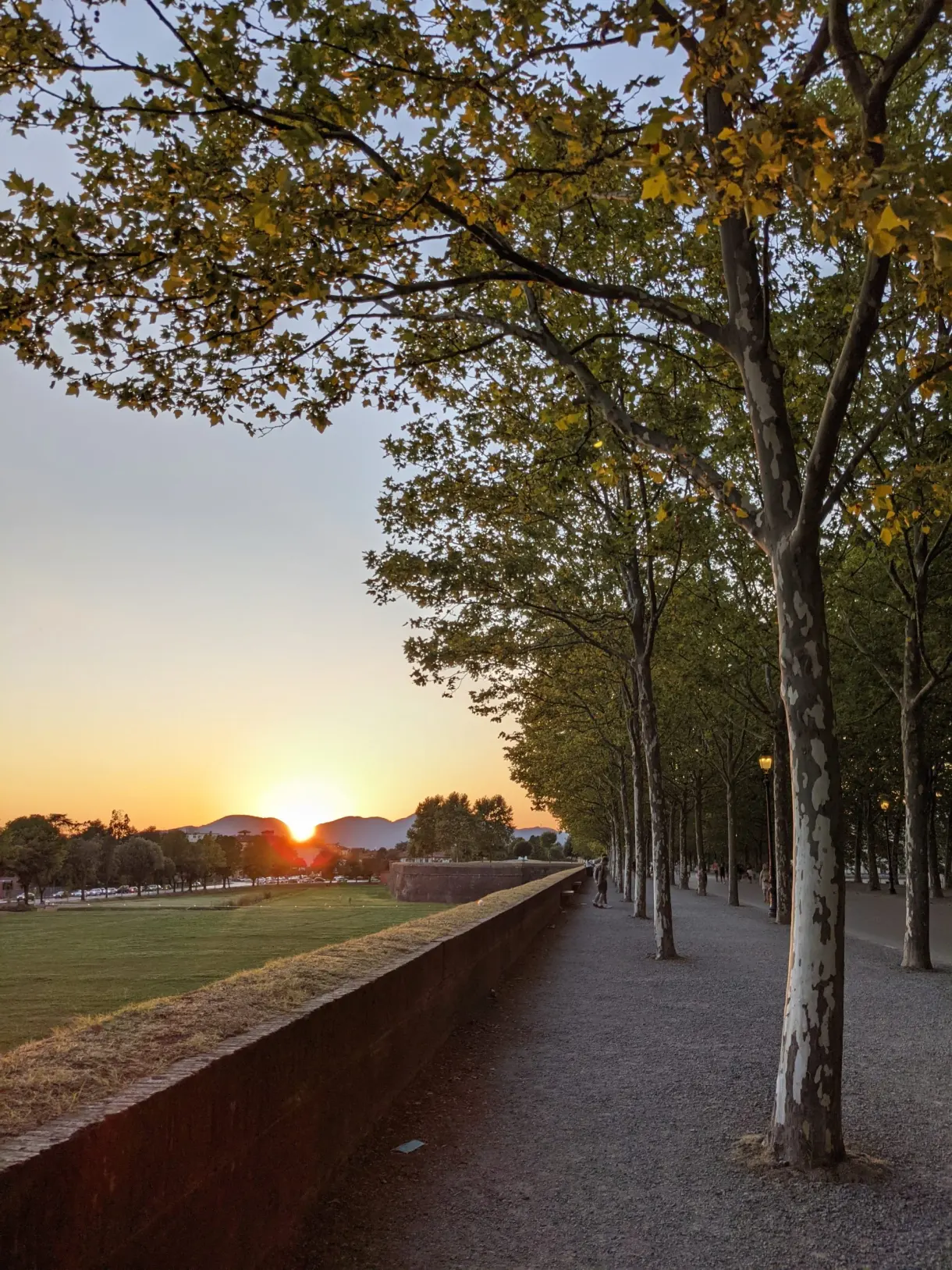 Avenue of trees on the ramparts at sunset