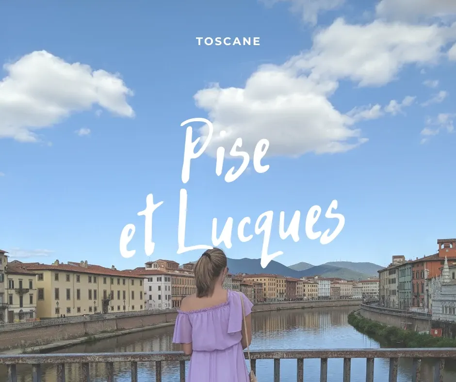 Woman from behind on a bridge, palace and summer sky of Pisa