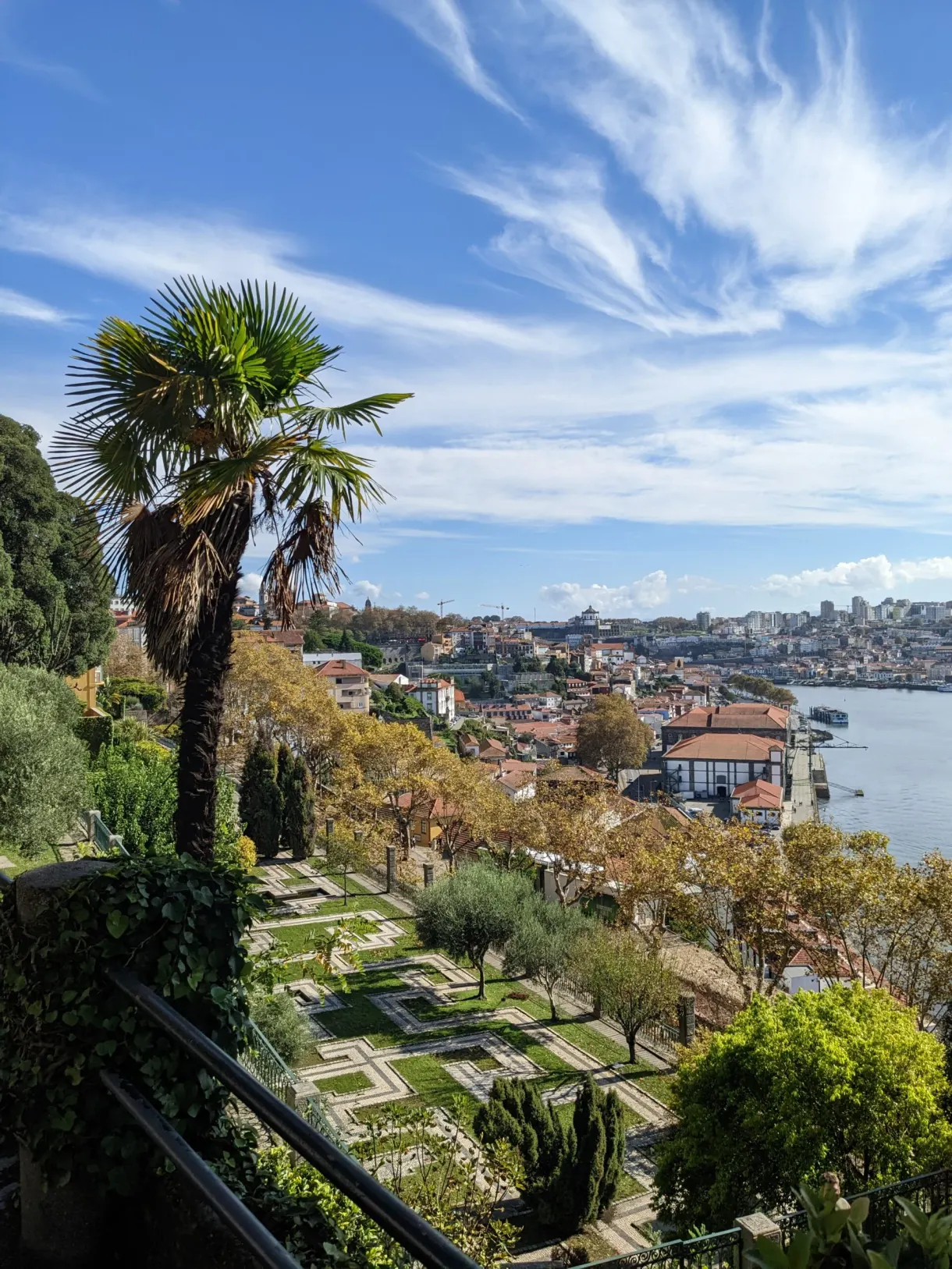 Jardins en terrasses et palmier surplombant le fleuve