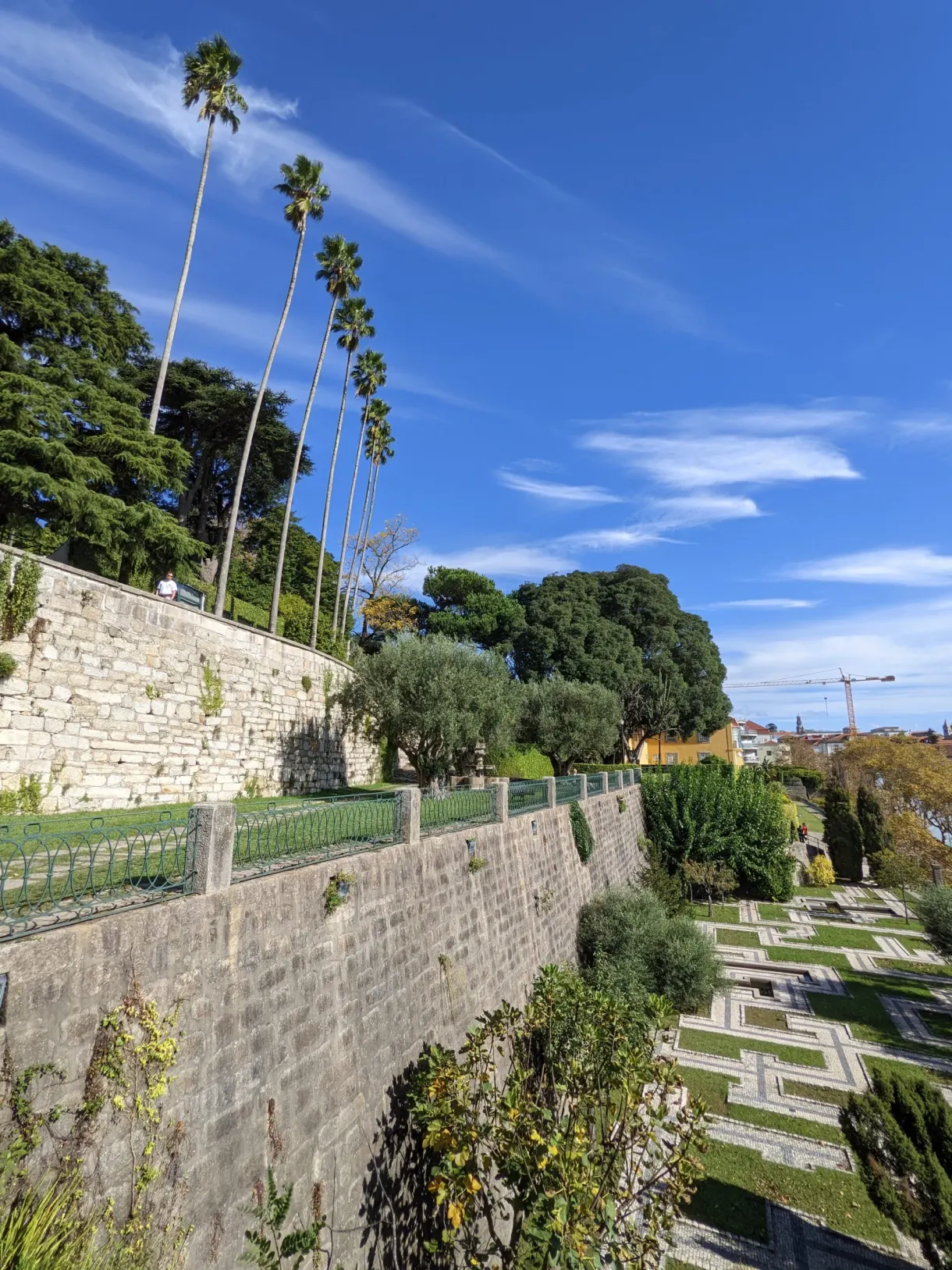 Allées de buis et grands palmiers dans un jardin en pente