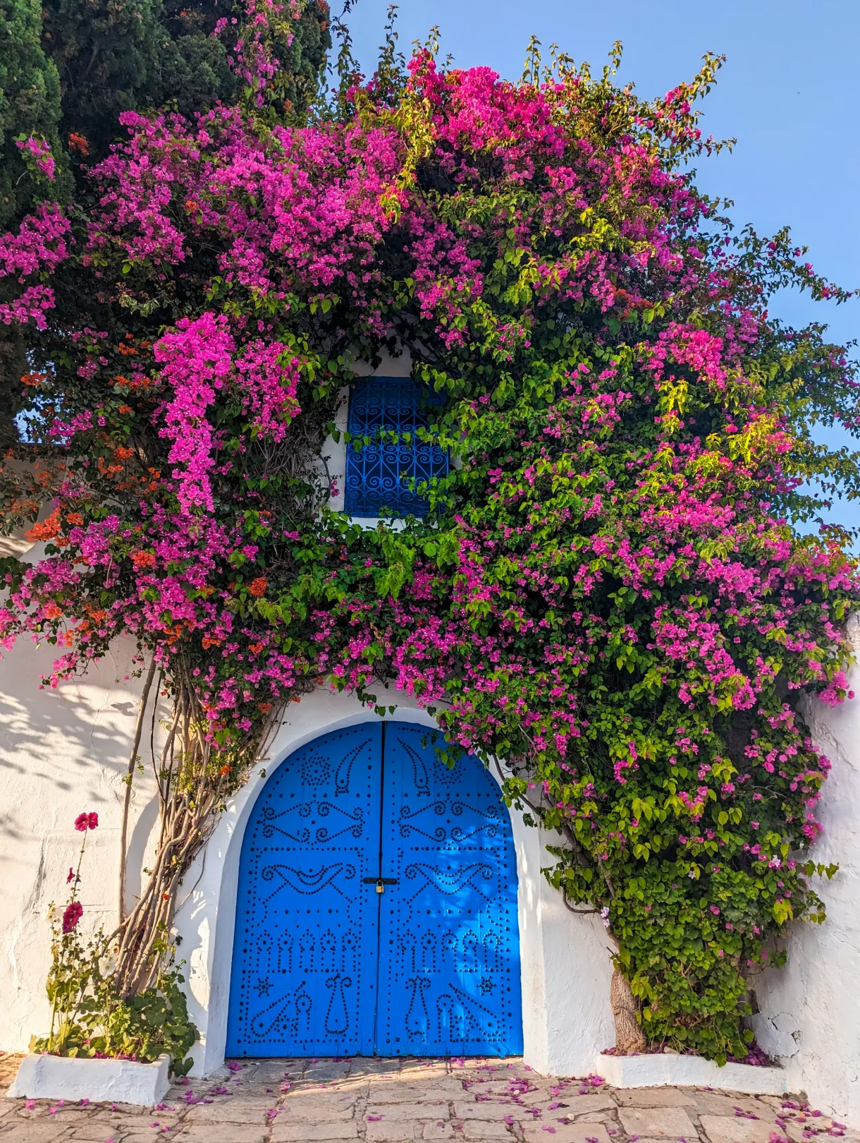 tunisie une semaine programme