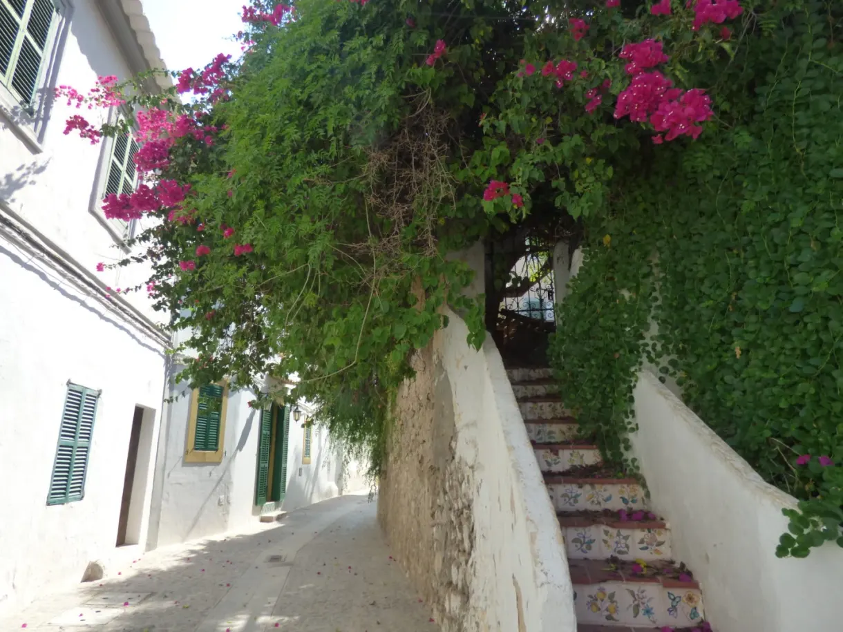 Whitewashed staircase under a pink bougainvillea