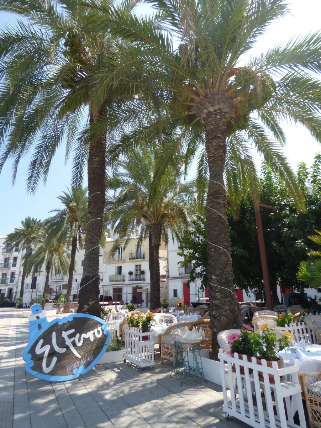 White terrace under the palm trees of the seafront