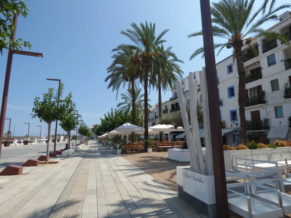 Wooden promenade of the harbour lined with palm trees
