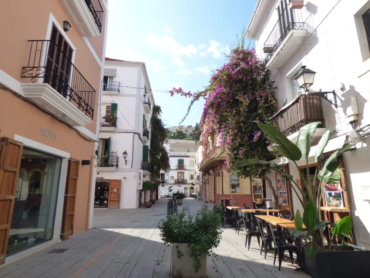 Cobbled pedestrian street decked with bougainvillea