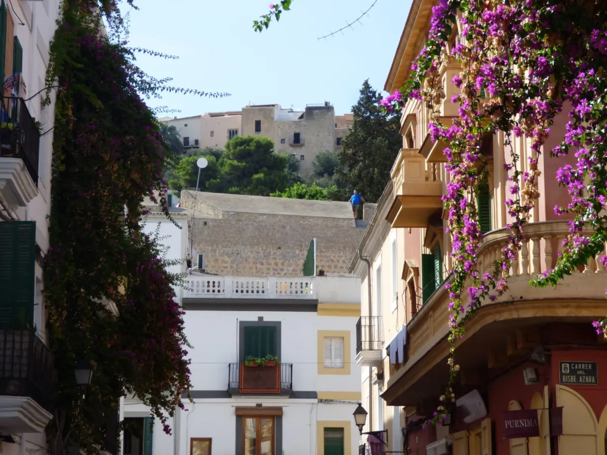 Cascade of pink bougainvillea in front of the city walls