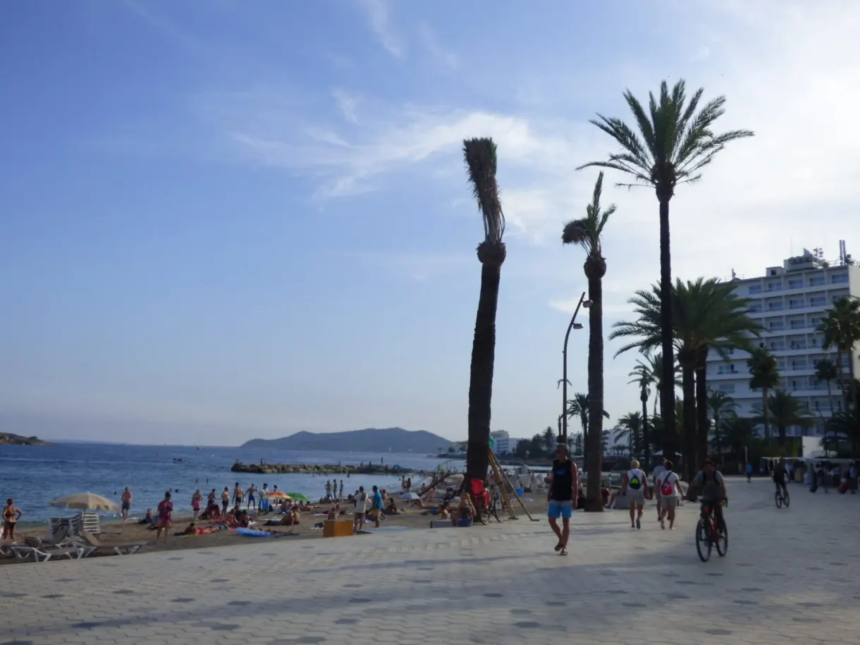 Palm lined promenade running along the sand of Figueretes