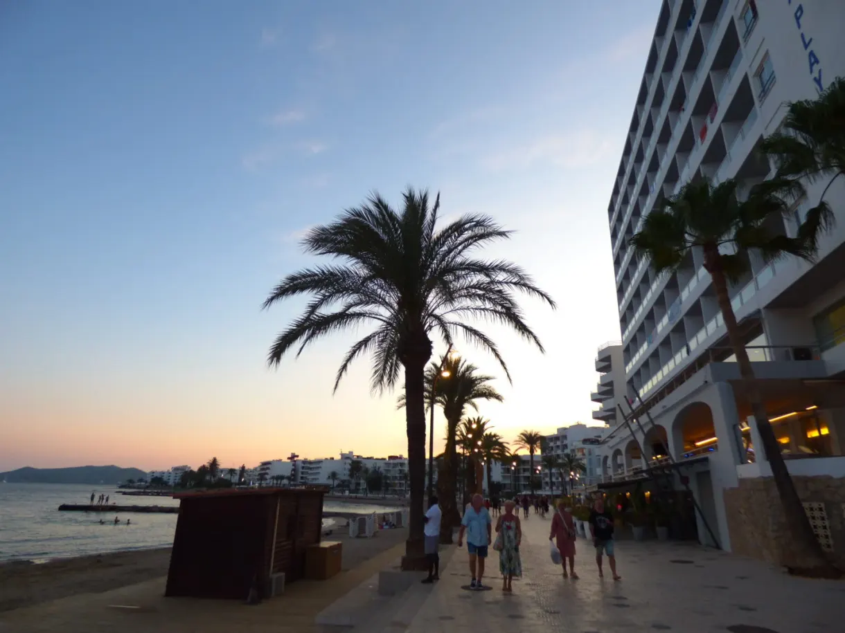 Backlit palm trees on the promenade at sunset