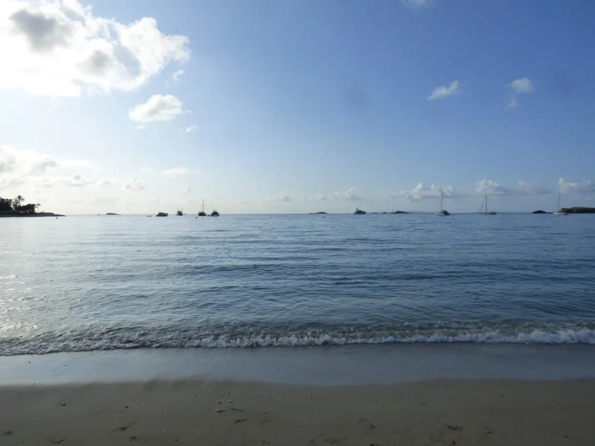 Small waves dying away on the pale sand
