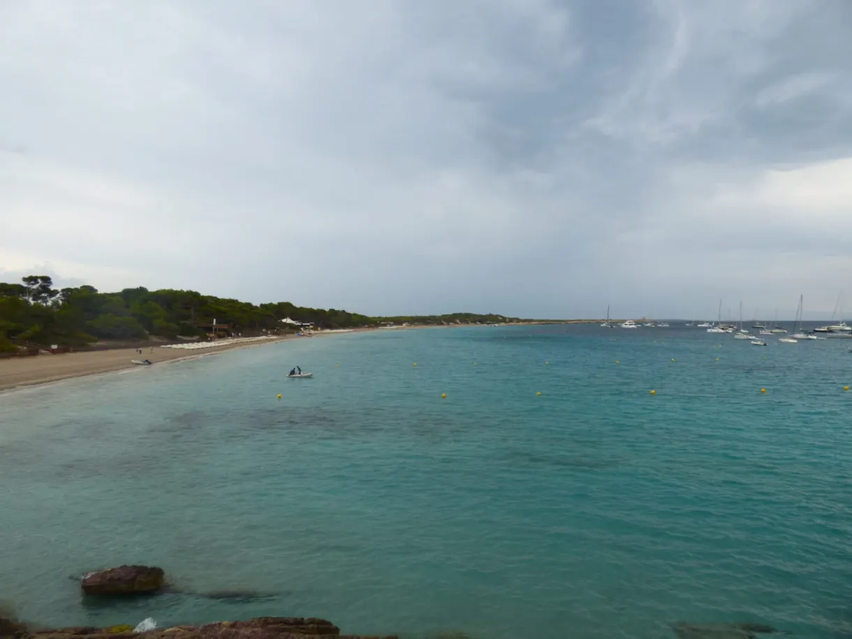 Turquoise bay lined with pines and pale sand