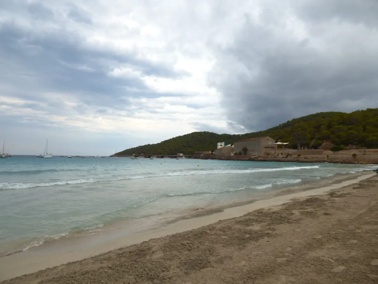 Long beach backed by a wooded hill under a stormy sky