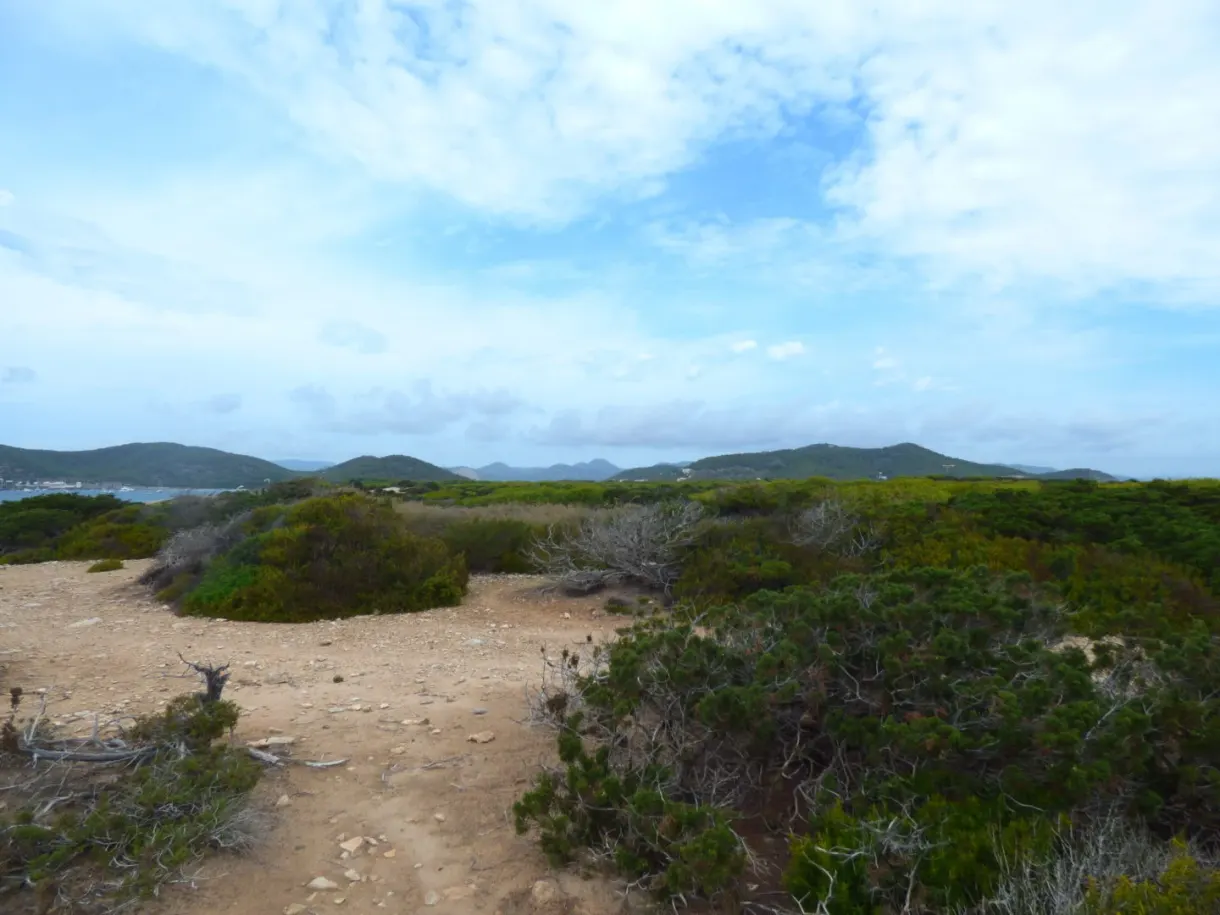Sandy path crossing the scrubland towards the hills
