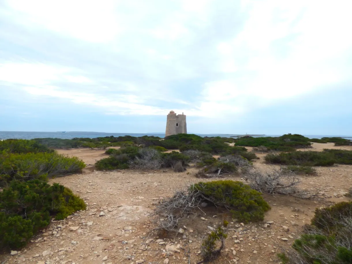 Watchtower set at the end of a bare heath