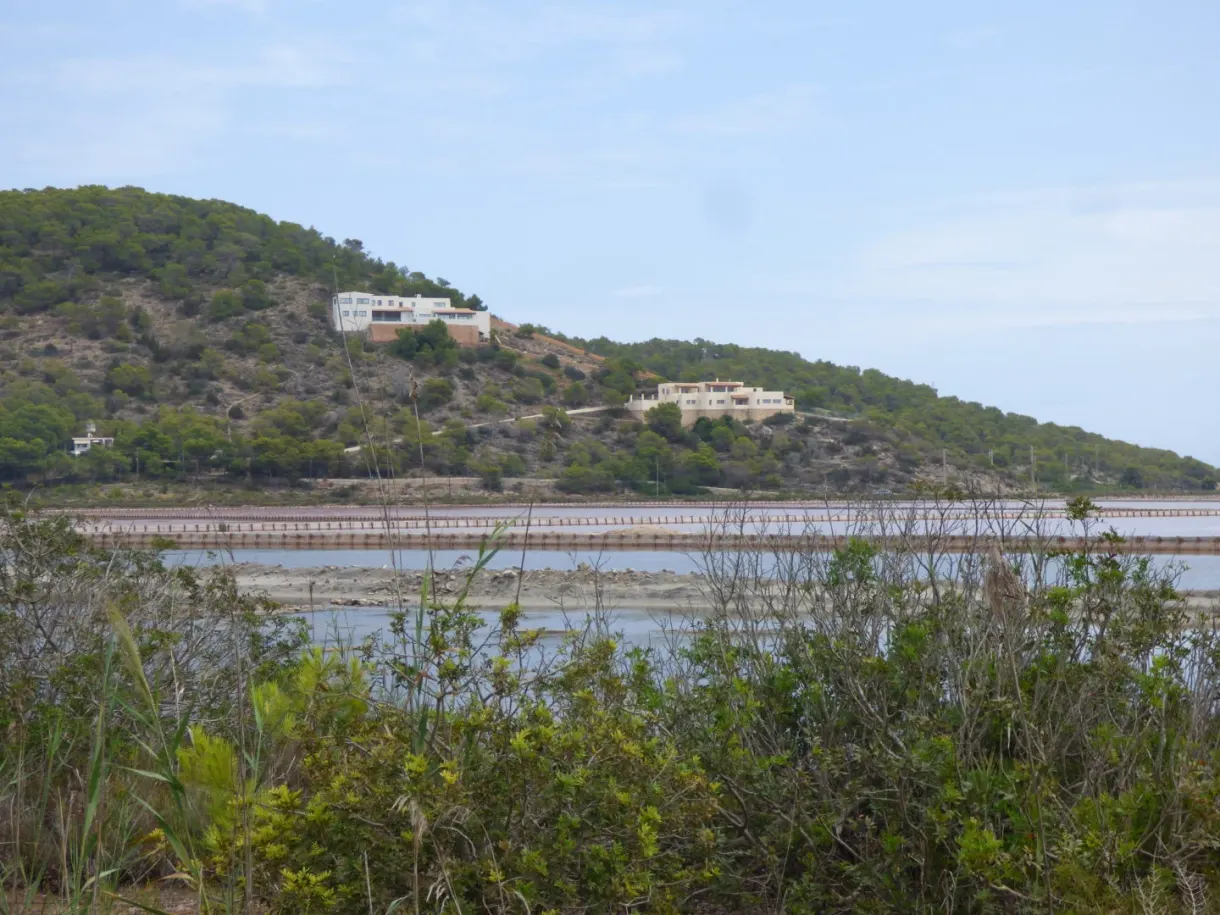 Pans of the salt flats spread out at the foot of a wooded hill