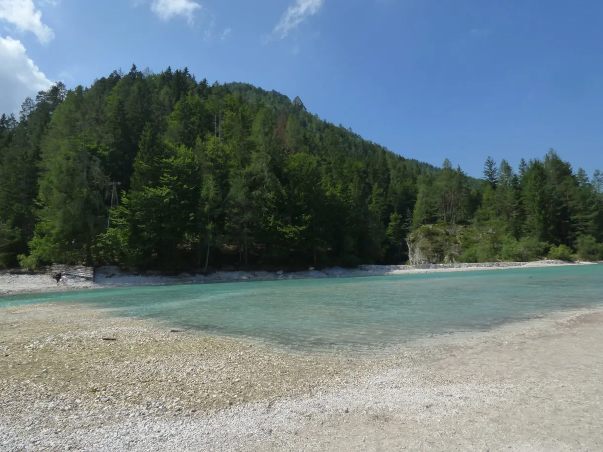 Wide pebble shore and dense forest at the edge of the lake
