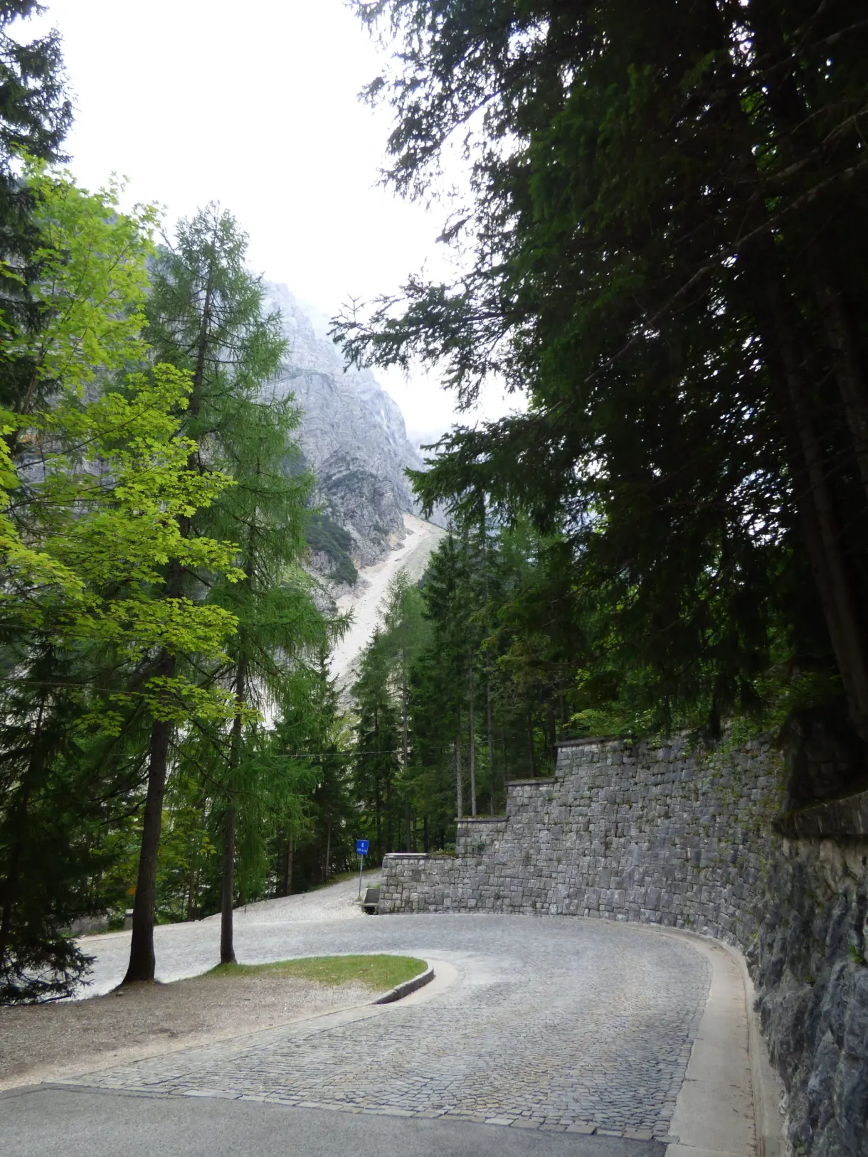 Cobbled hairpin bend climbing through the forest