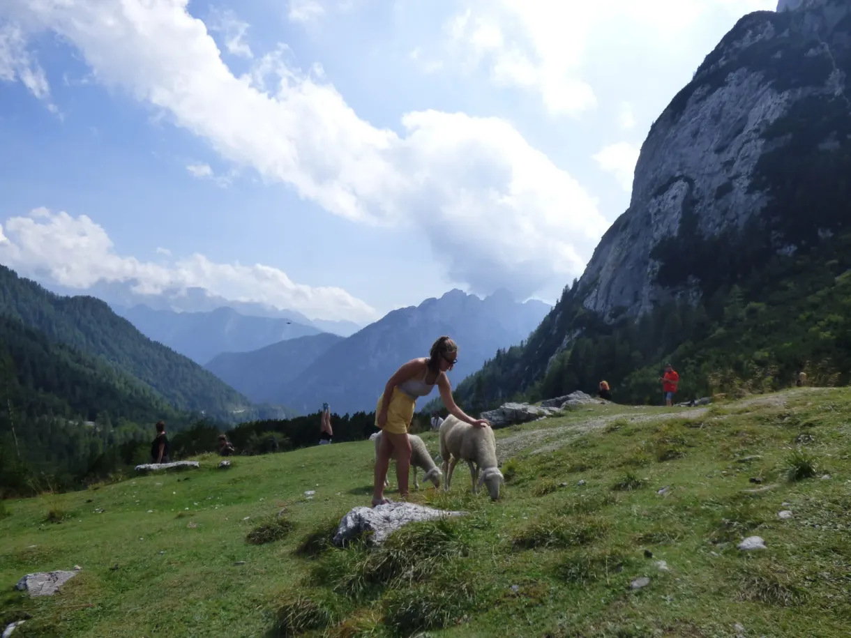 Woman stroking a dog on a high mountain meadow