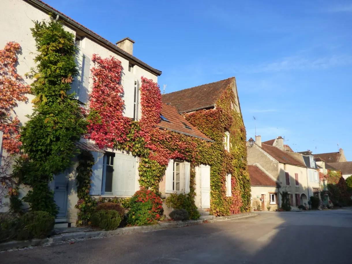 House covered with red Virginia creeper in Noyers